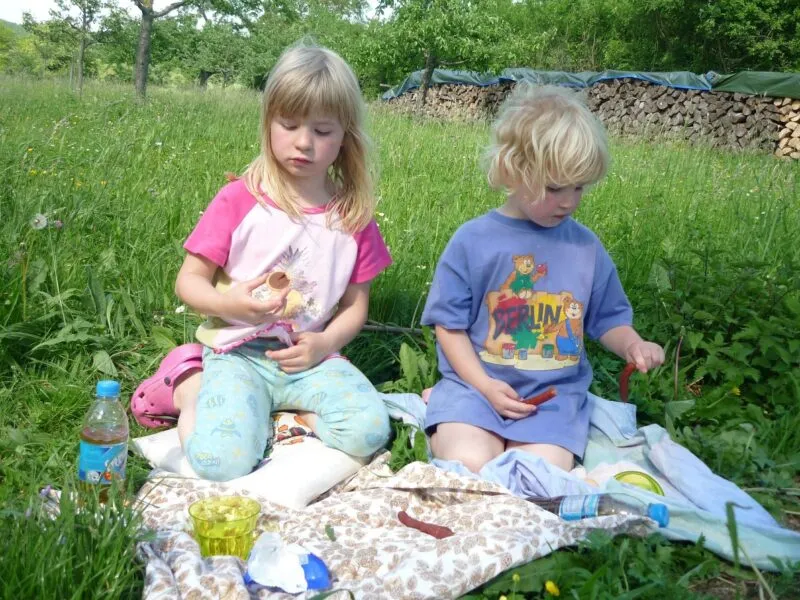 children’s picnic